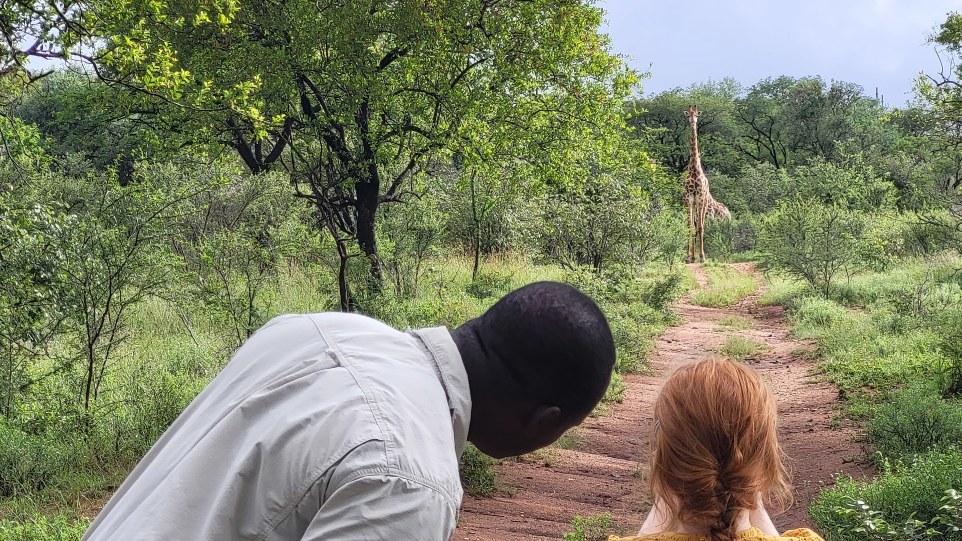 Familienreise Südafrika - Spannende Garden Route entdecken